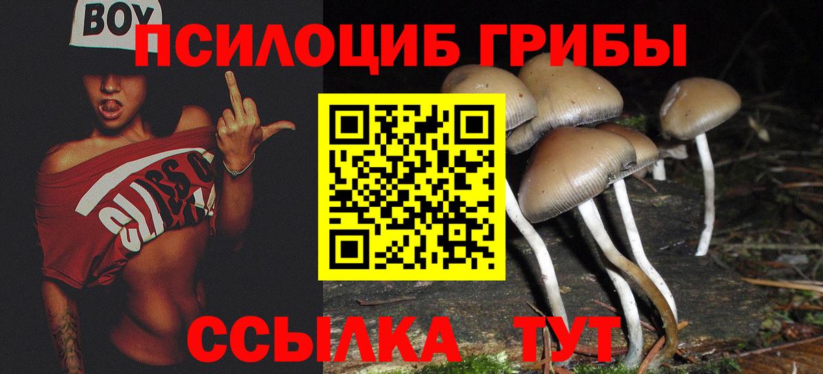 Гусь-Хрустальный  Галлюциногенные грибы Psilocybine cubensis  Вход с VPN 
